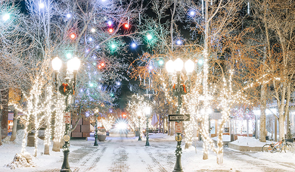 Aspen with Christmas Decorations