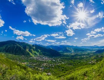 Aspen in Summer