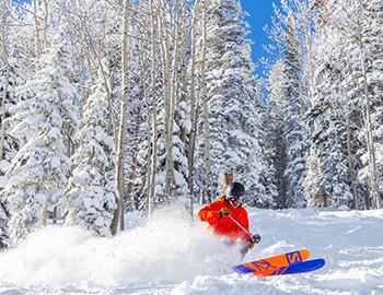 Aspen early season conditions