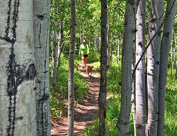 Alternative Hikes in Aspen