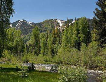 Luxury real estate in Aspen