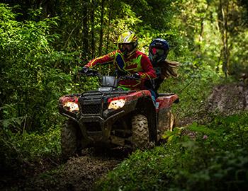 Man on an ATV in the forest