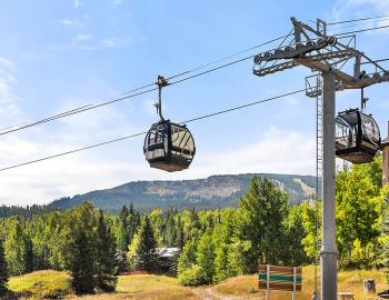 Not-So-Bummer Summer