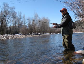 Roaring Fork River Trout Fishing