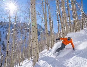 Where to Ski in Aspen