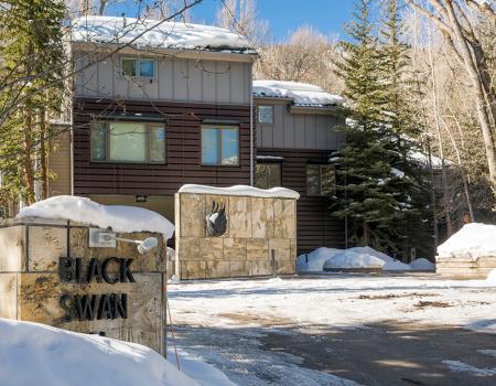 Black Swan Aspen