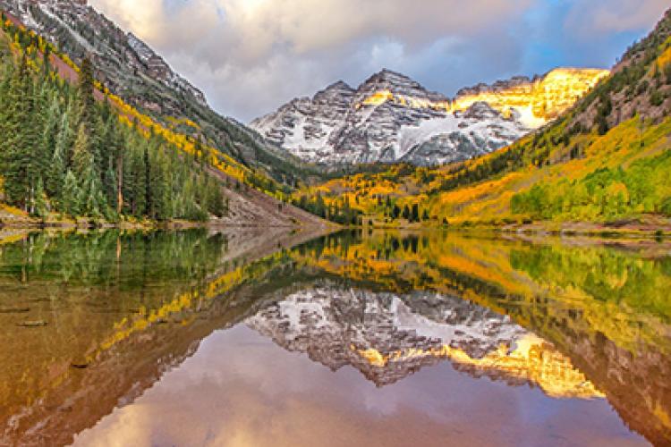 aspen fall foliage leaf peeping