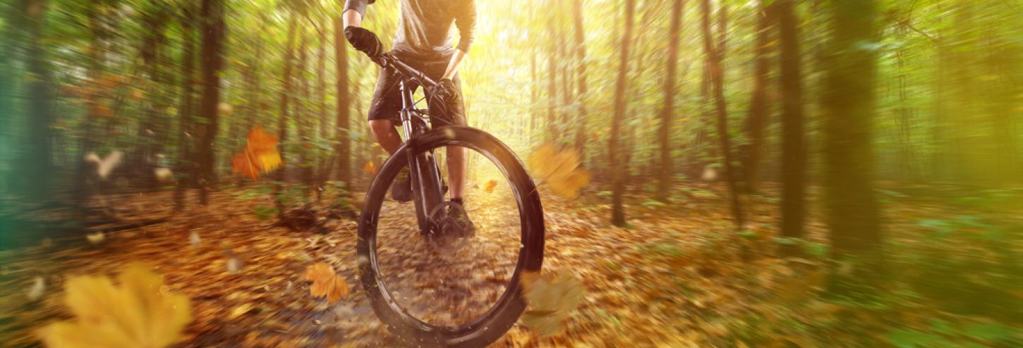 Additional Biking Options