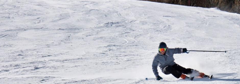 Aspen Gay Ski Week Skier 