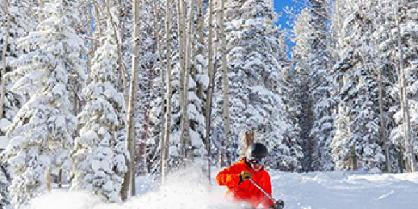 Aspen early season conditions