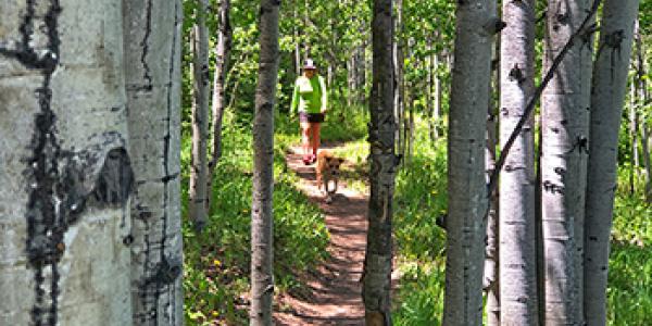 Alternative Hikes in Aspen