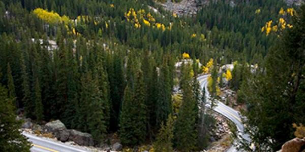 Aspen Independence Pass