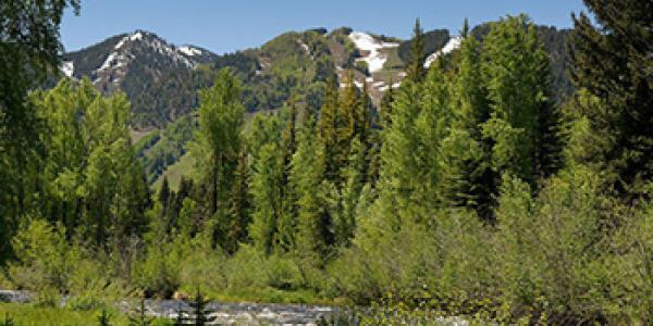 Luxury real estate in Aspen