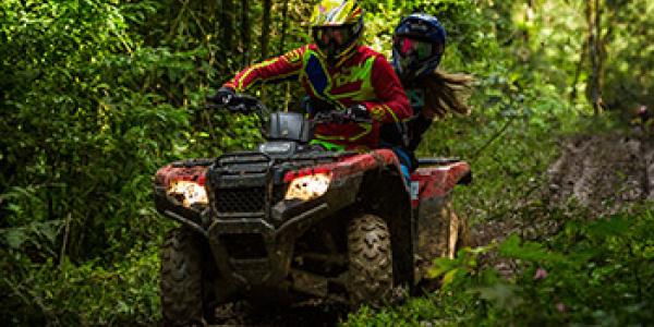 Man on an ATV in the forest