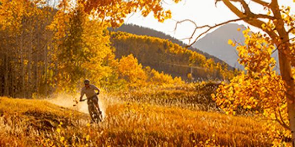 Fall Activities in Aspen During COVID-19