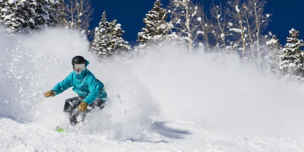 Powder Snowboarder Aspen