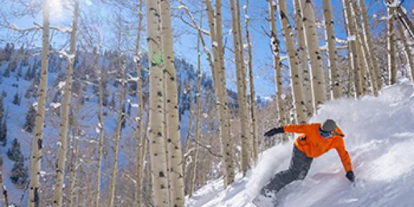 Where to Ski in Aspen