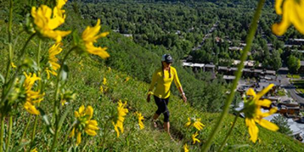 Aspen Hikes from Town