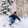 skiing powder in aspen