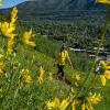 Aspen Hikes from Town