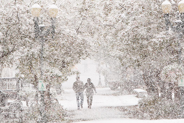 First snow and trees in downtown Aspen