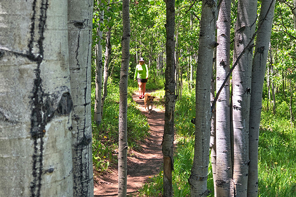 Alternative Hikes in Aspen