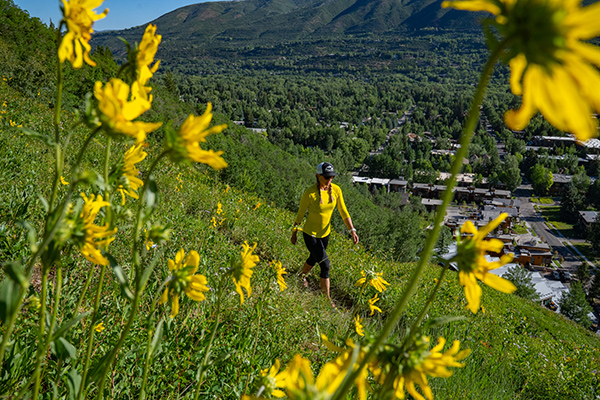 Aspen hikes from town Ajax Trail