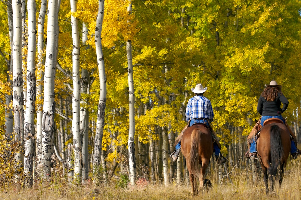 Couple On Horseback In Autumn.