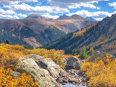 A guide to fall in Aspen