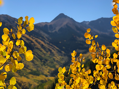 A guide to fall in Aspen