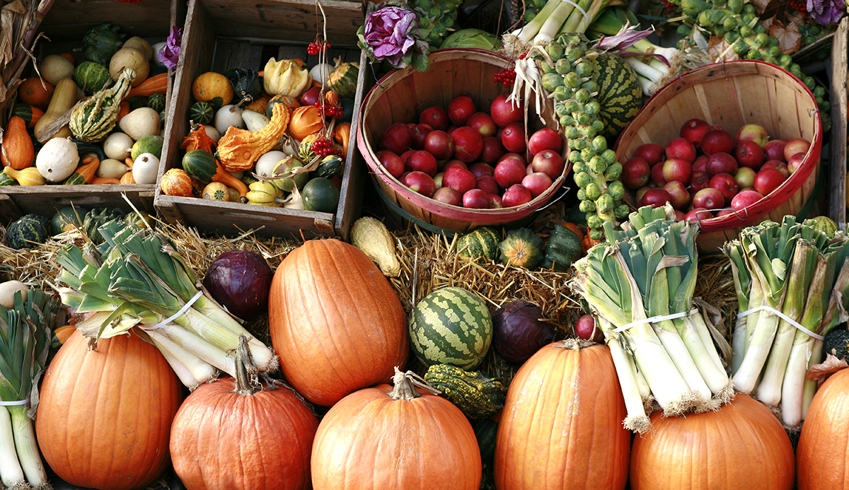 fall farmers market aspen