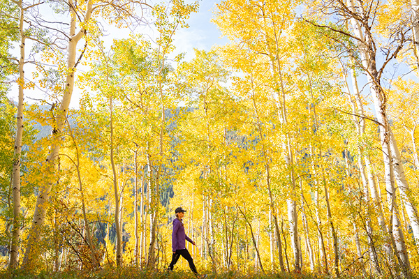 Aspen Fall Activity Guide