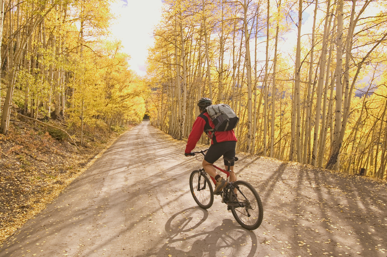 Fall foliage in Aspen Snowmass Fall foliage in Aspen Snowmass