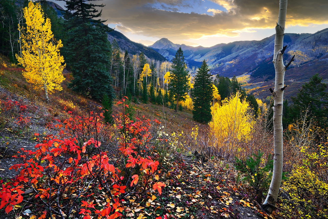 Mt. Daly Snowmass