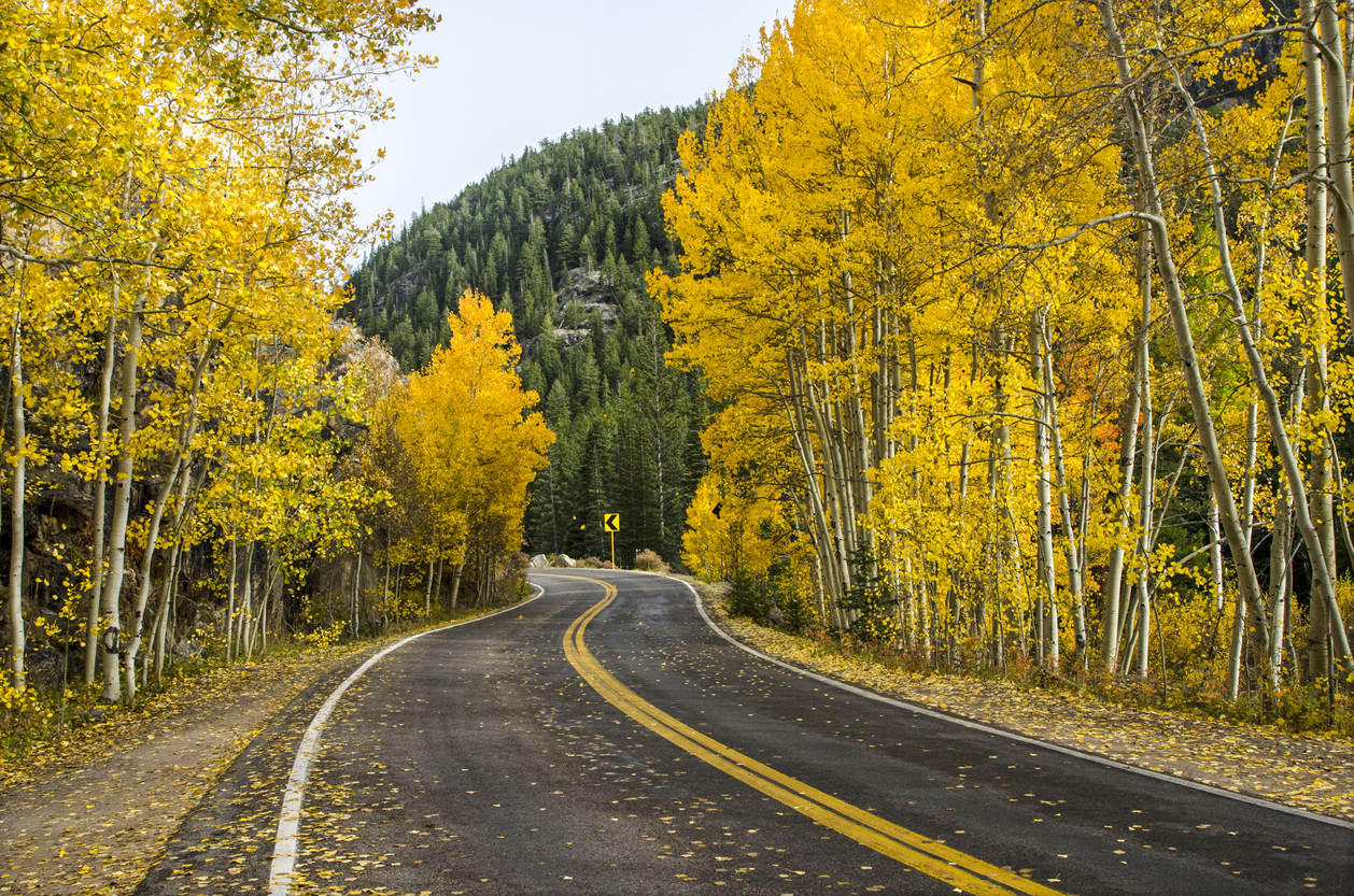 Fall in Aspen Snowmass