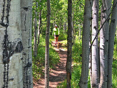 Aspen hiking trails