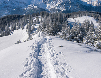 Winter Hiking in Aspen